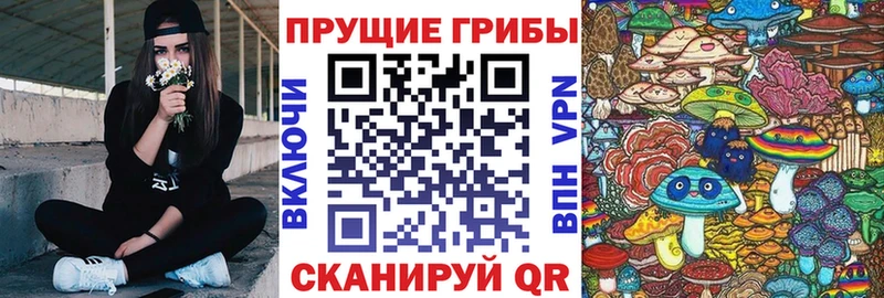 Галлюциногенные грибы GOLDEN TEACHER купить наркотик Шелехов