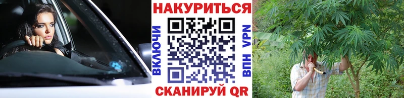Бошки Шишки Amnesia  Шелехов 